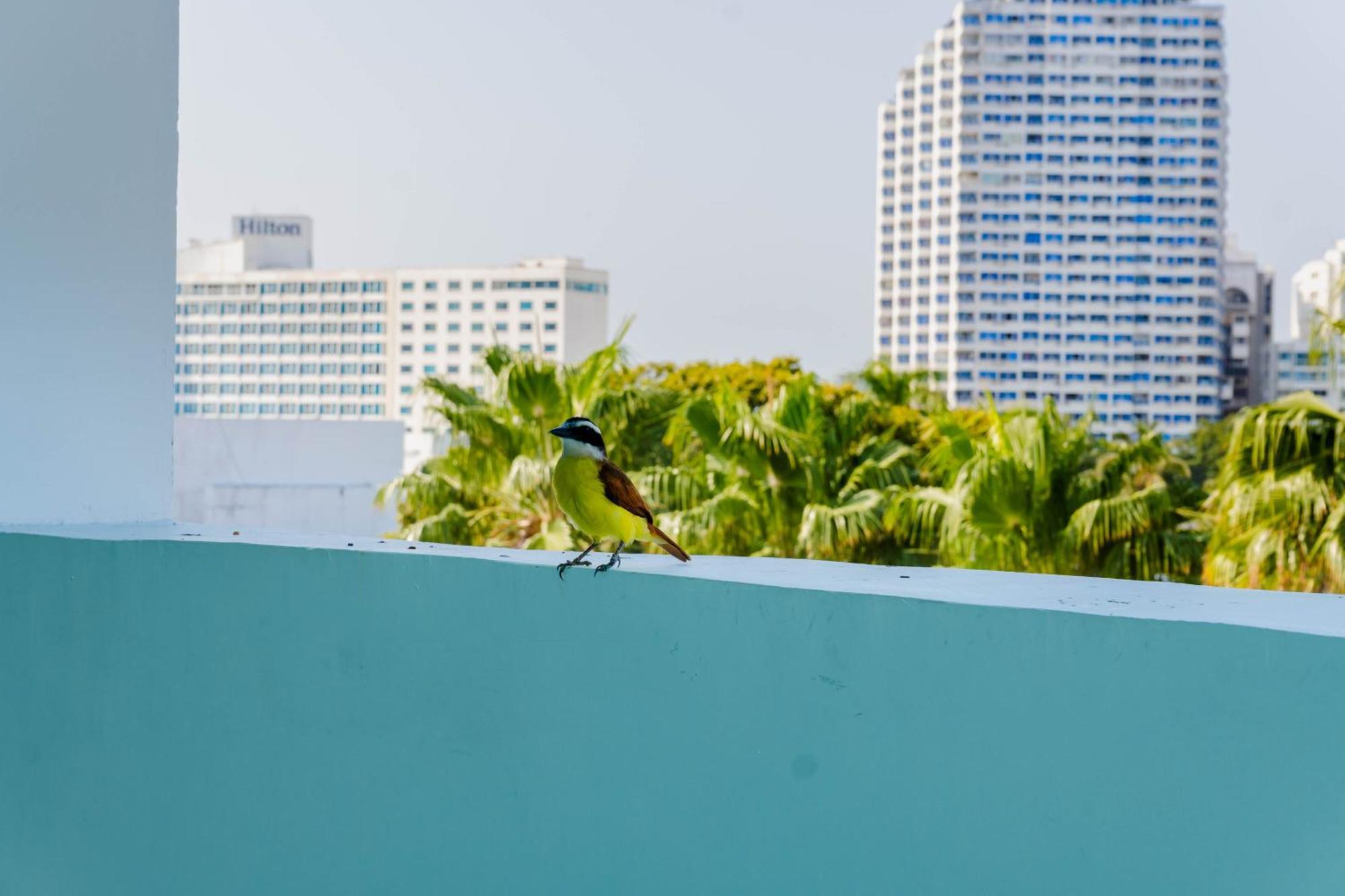 Hotel Coral Reef Cartagena エクステリア 写真